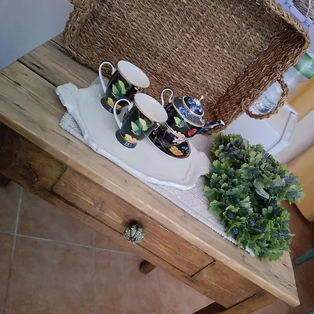 Rena Majore Home *